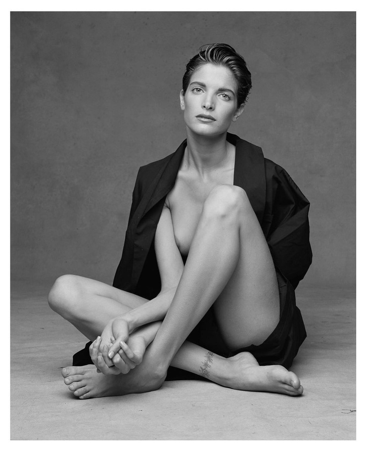 Picture of Stephanie Seymour