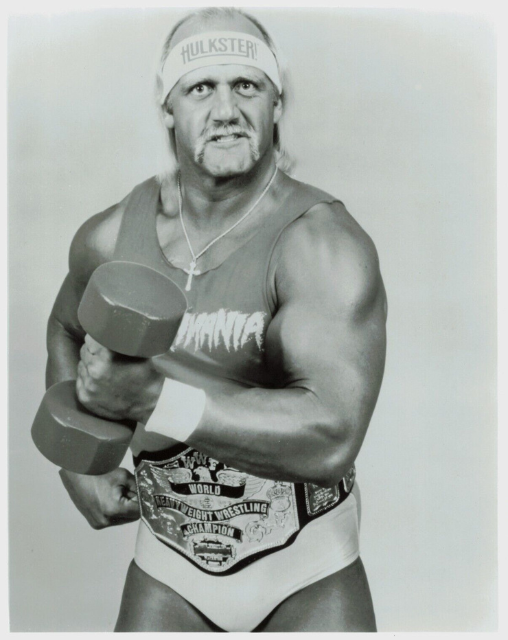 Hulk Hogan Hulk Hogan