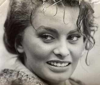 Sophia Loren