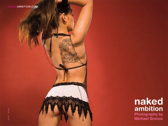 Naked Ambition: An R Rated Look at an X Rated Industry
