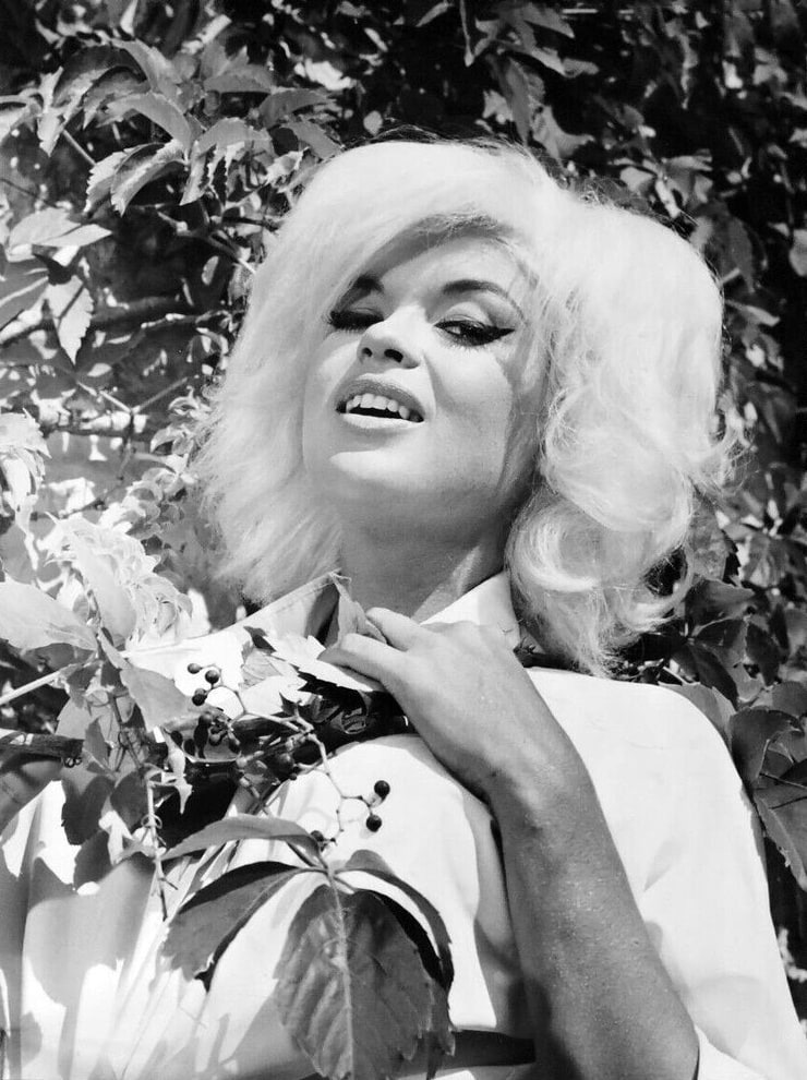 Jayne Mansfield 