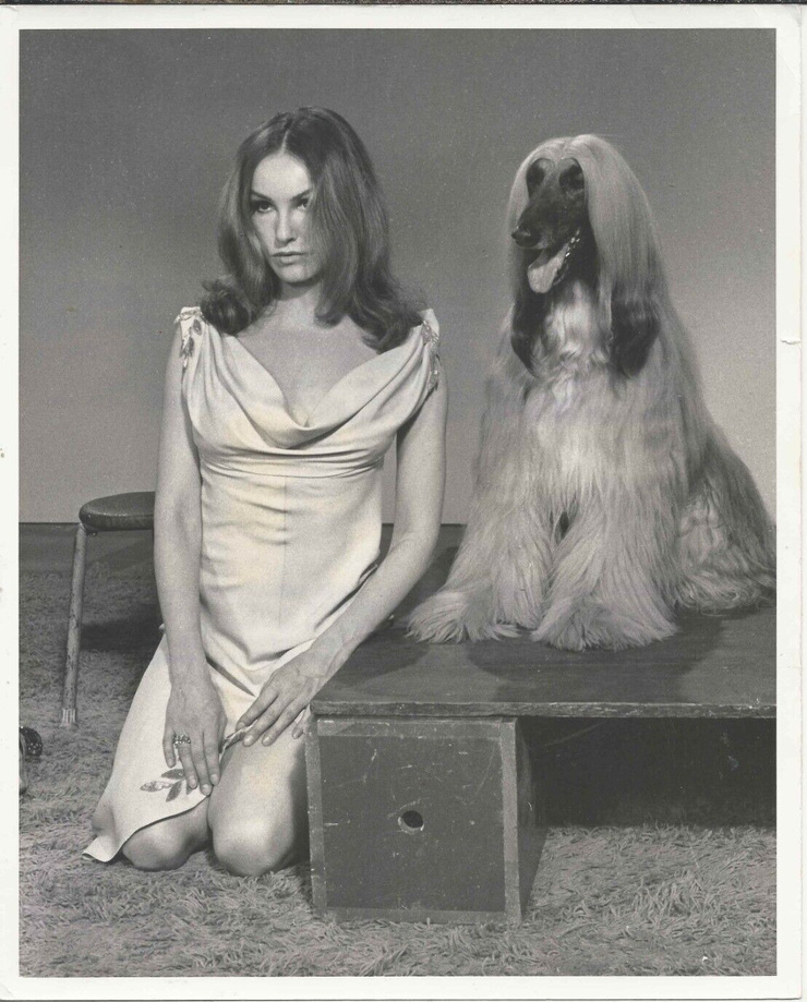 Julie Newmar