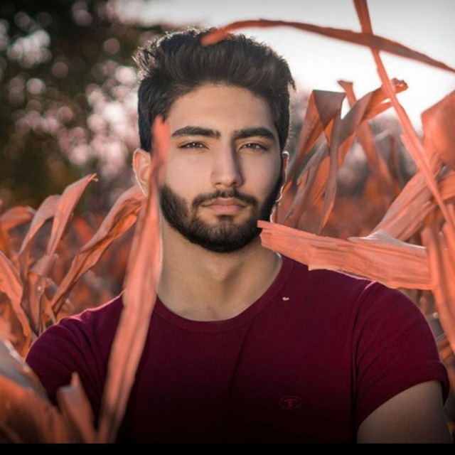 Nojen Arfaei | Noozheen