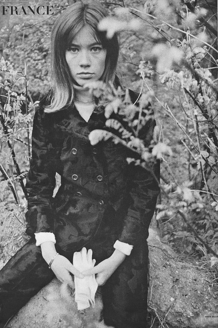 Picture of Françoise Hardy