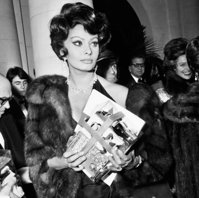 Sophia Loren
