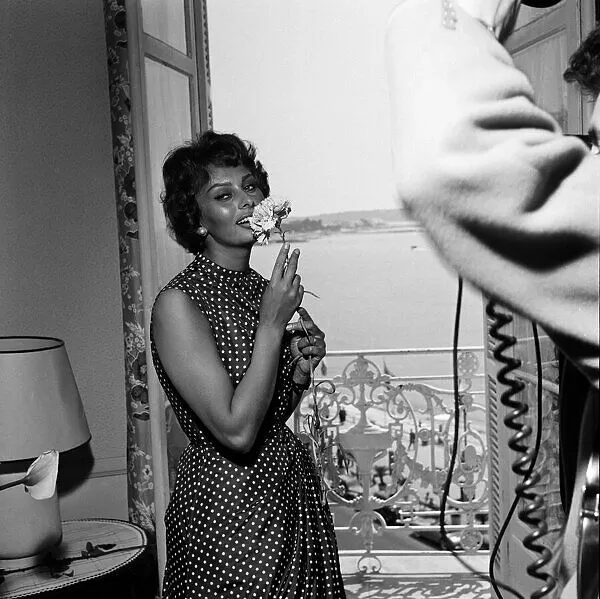 Sophia Loren
