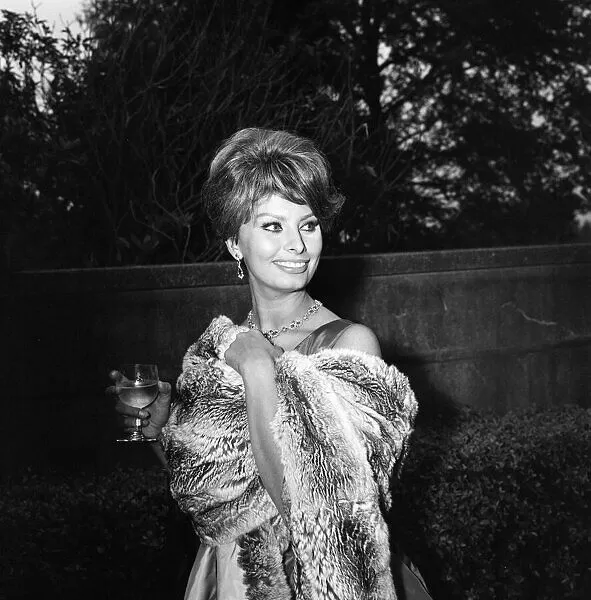 Sophia Loren