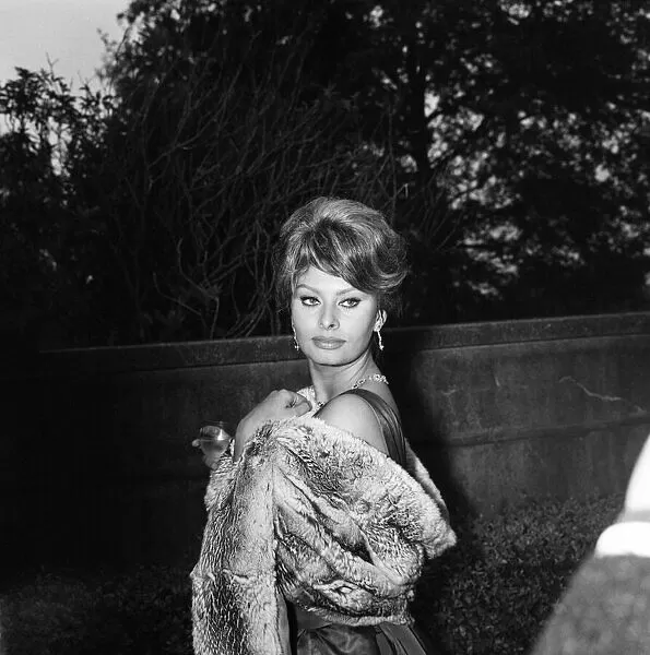 Sophia Loren