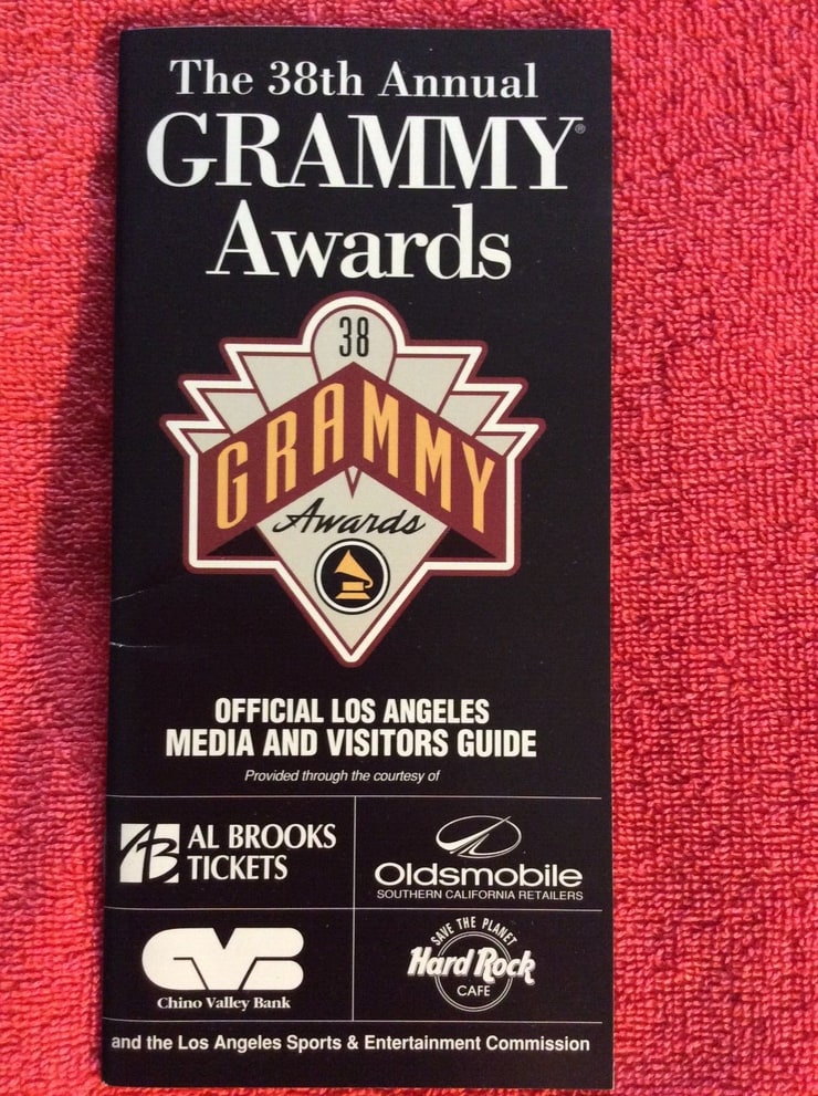 The 38th Annual Grammy Awards