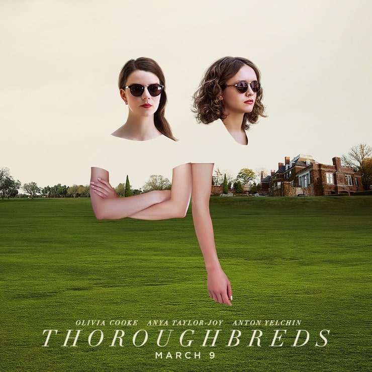 Thoroughbreds