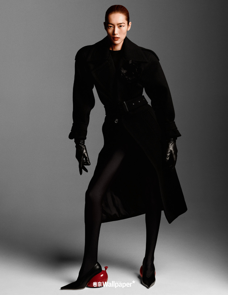 Liu Wen
