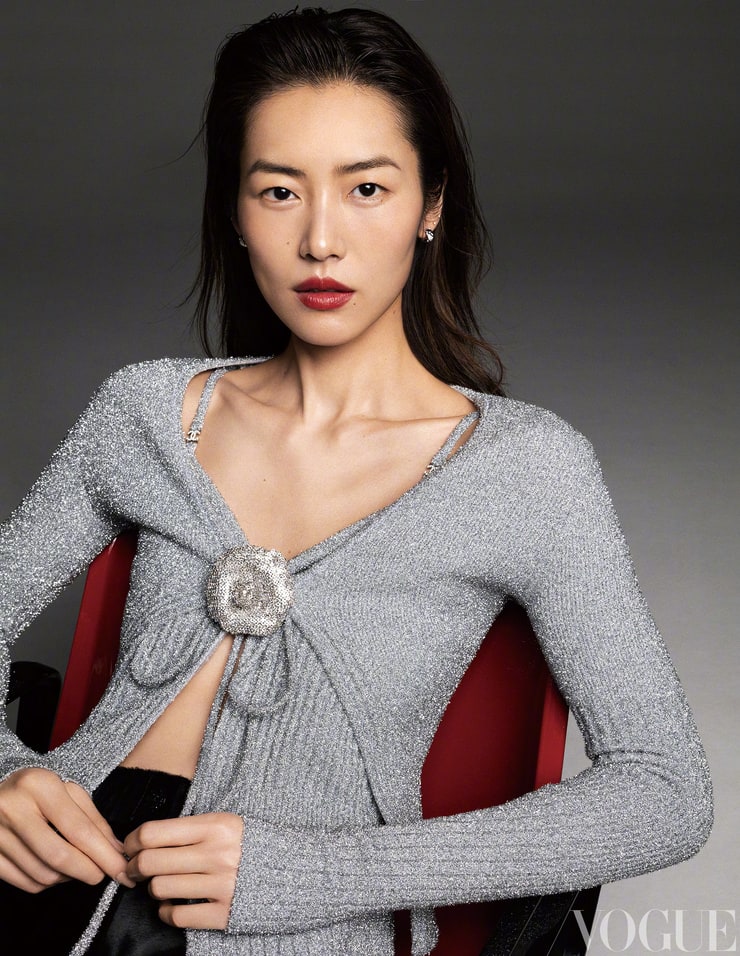 Picture of Liu Wen