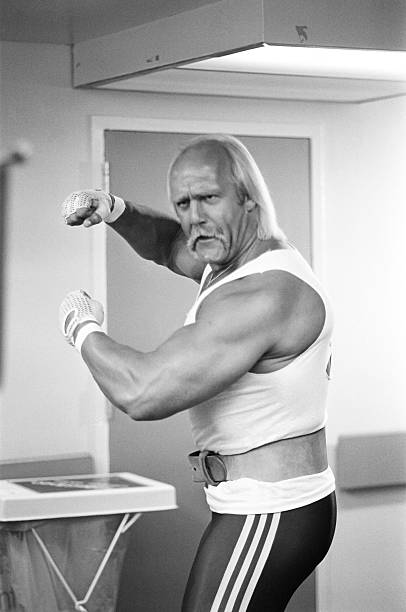 Hulk Hogan