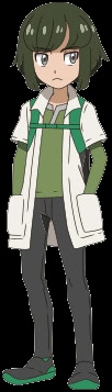 Sorrel