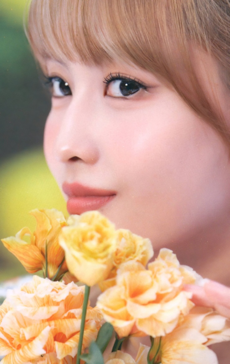 Hirai Momo Hirai Momo