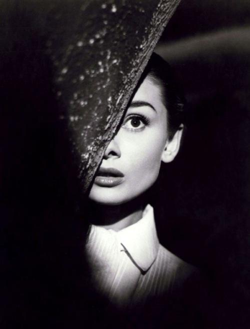 Audrey Hepburn Audrey Hepburn