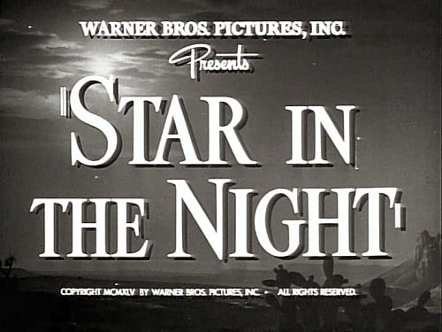 Star in the Night