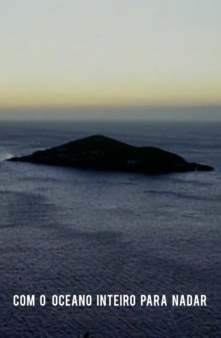 Com O Oceano Inteiro Para Nadar