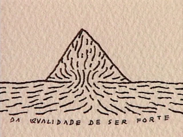 Com O Oceano Inteiro Para Nadar