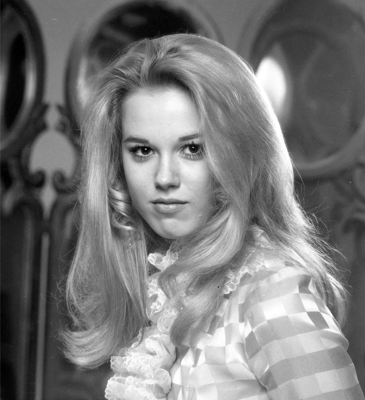 Lee Purcell