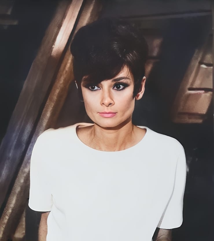 Audrey Hepburn