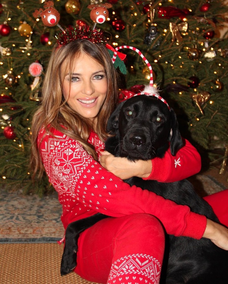 Elizabeth Hurley Elizabeth Hurley