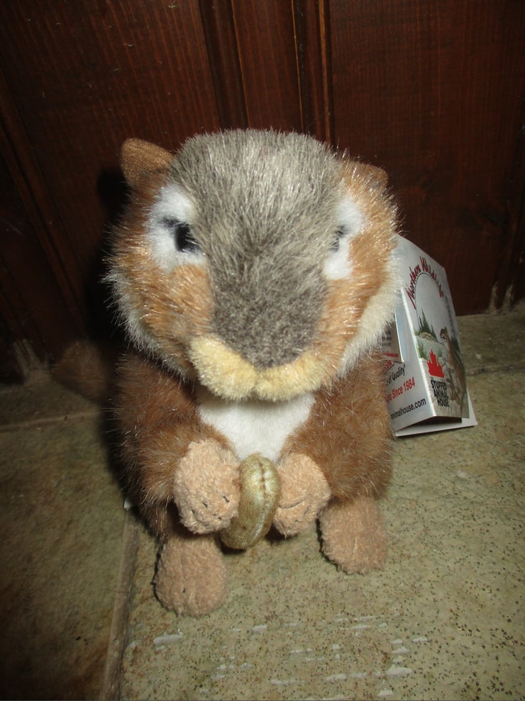 The Stuffed Animal House 6 Inch Northern Wildlife Chipmunk