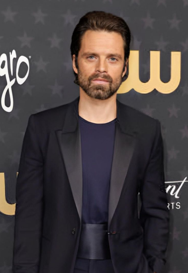 Sebastian Stan image