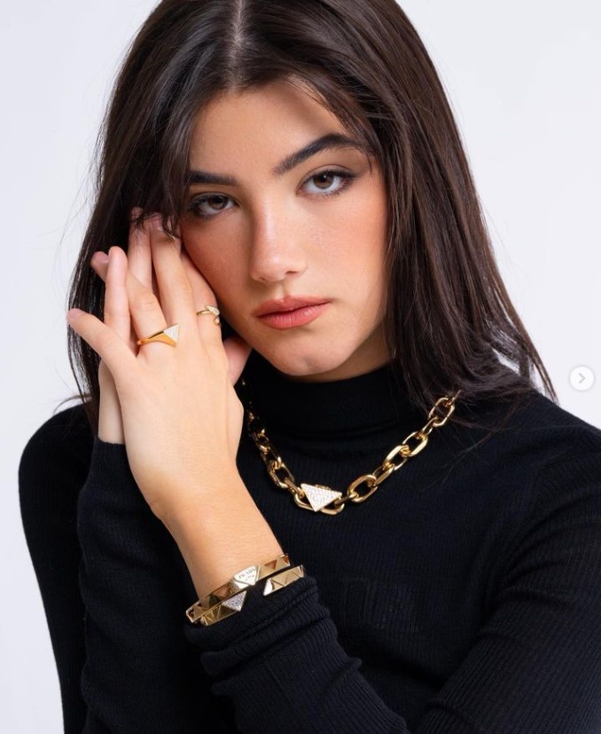 Image of Charli D'Amelio