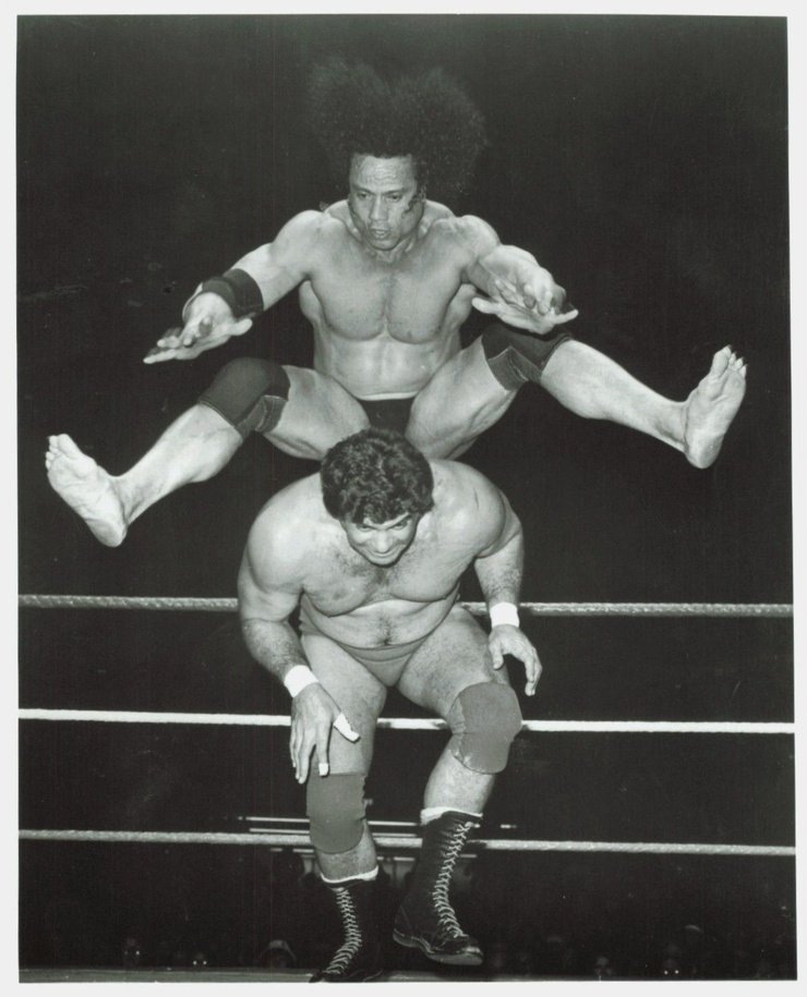 Don Muraco
