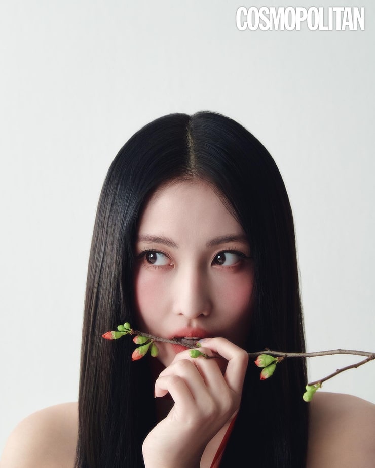 Hirai Momo Hirai Momo