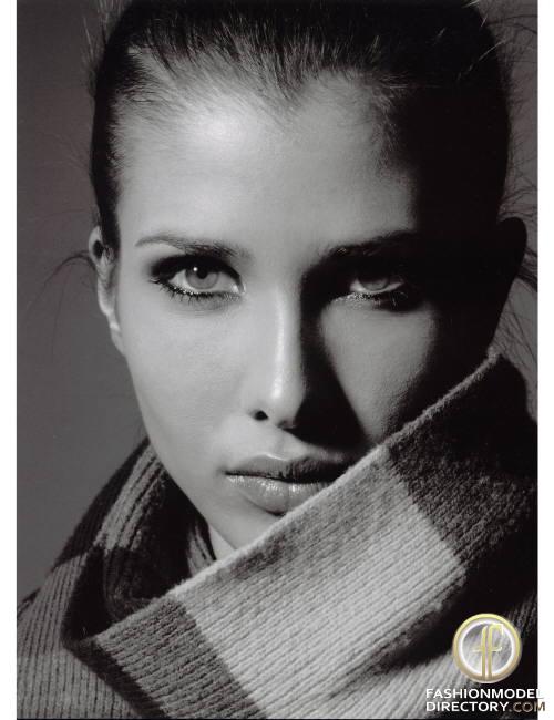 Picture of Ashiko Westguard