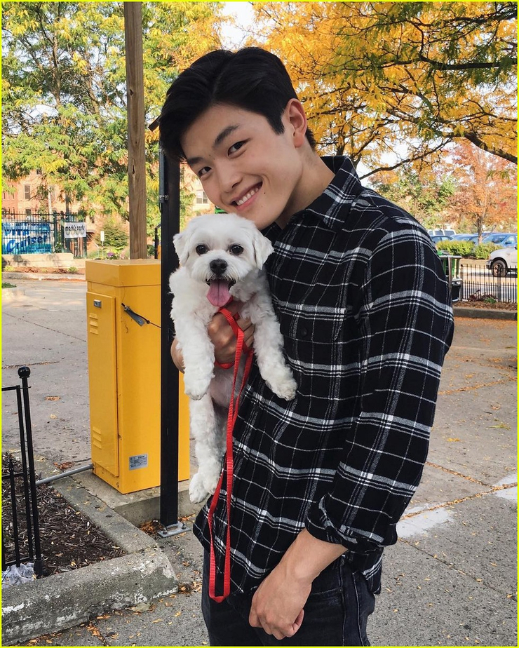 Alex Shibutani