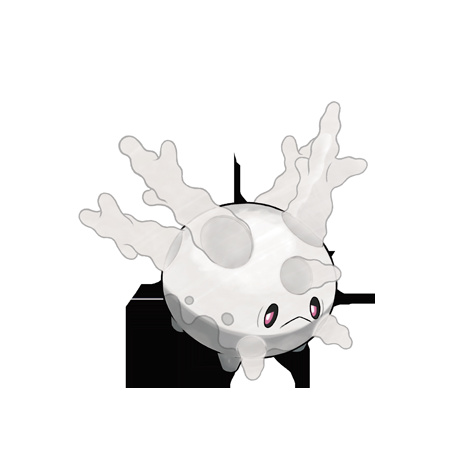 Corsola galar picture