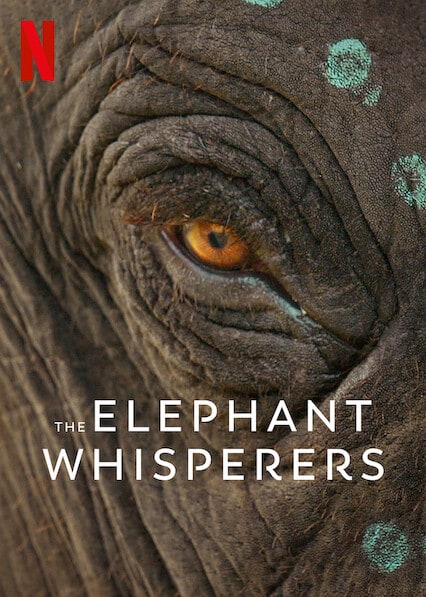 The Elephant Whisperers