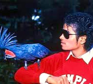 Michael Jackson Michael Jackson