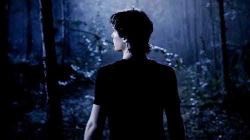 Ian Somerhalder
