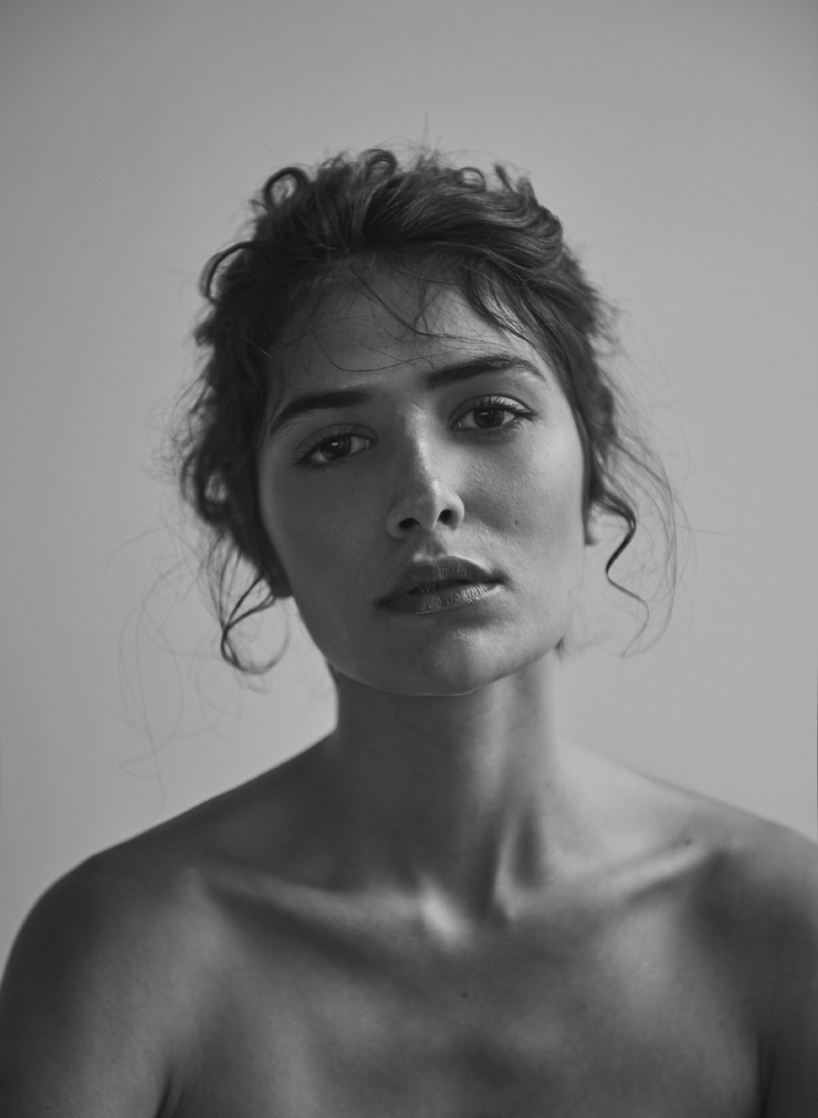 Carol Scheid