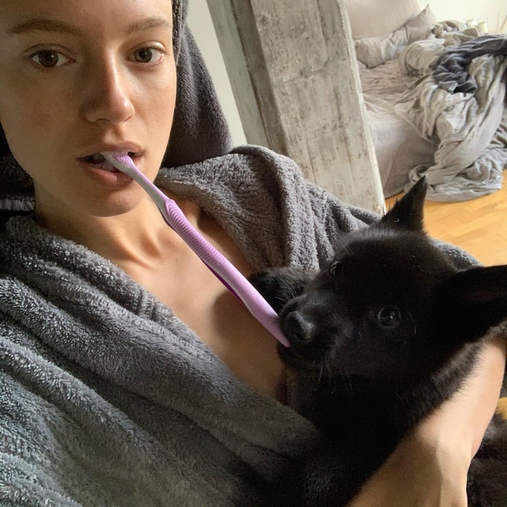 Maya Stepper Maya Stepper