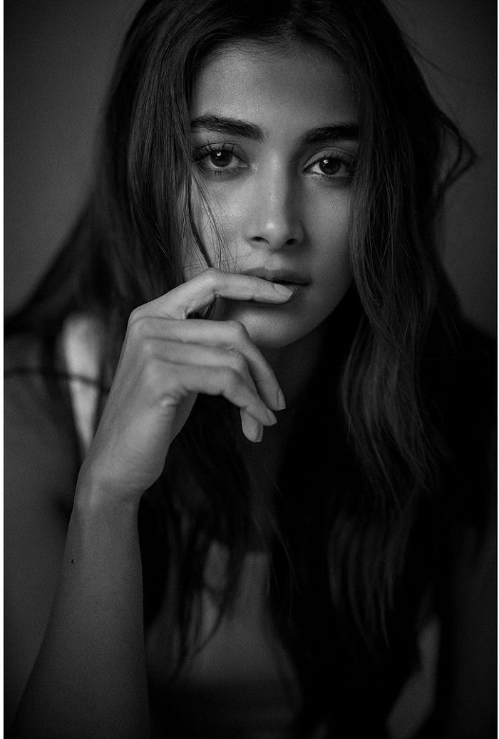 Picture of Pooja Hegde