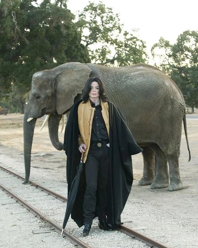 Michael Jackson