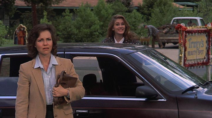 Steel Magnolias