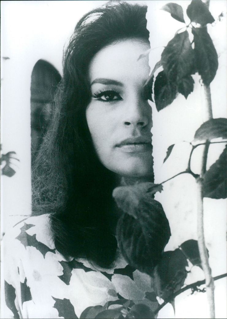 Diana Lorys
