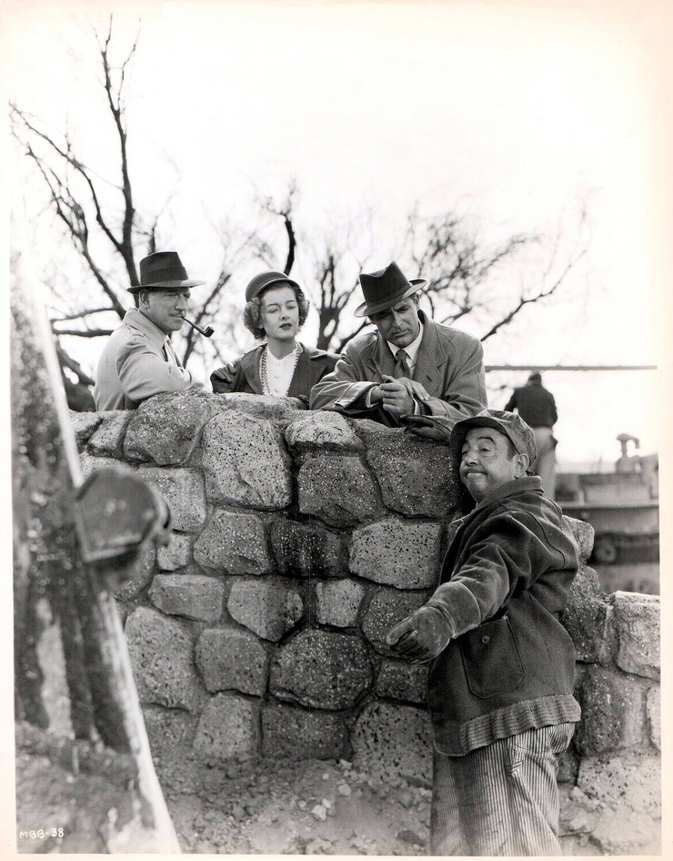 Mr. Blandings Builds His Dream House (1948) Mr. Blandings Builds His Dream House (1948)