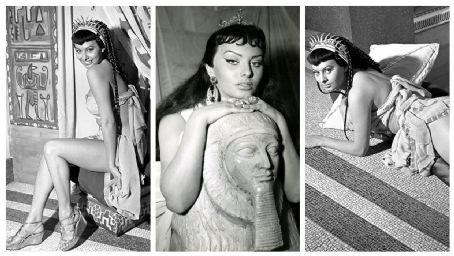 Sophia Loren