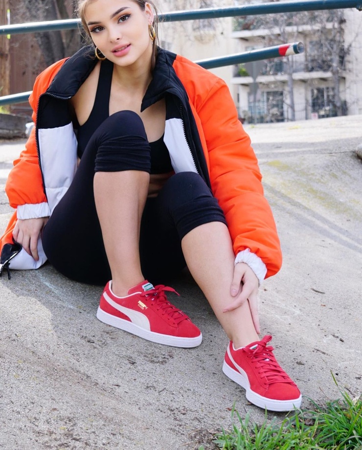 Brighton Sharbino