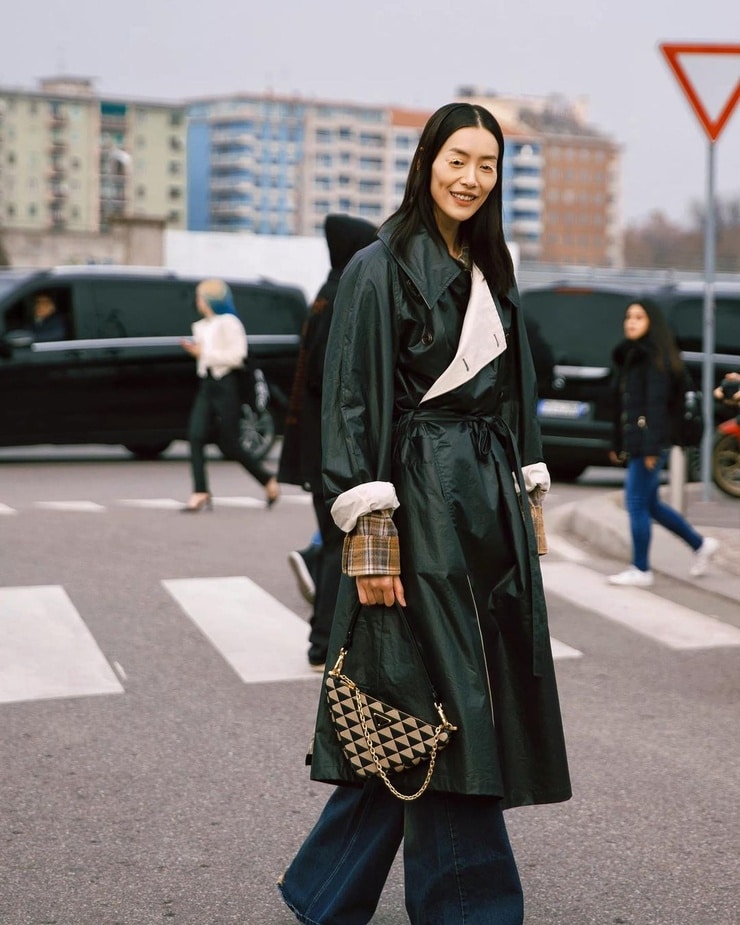 Liu Wen picture