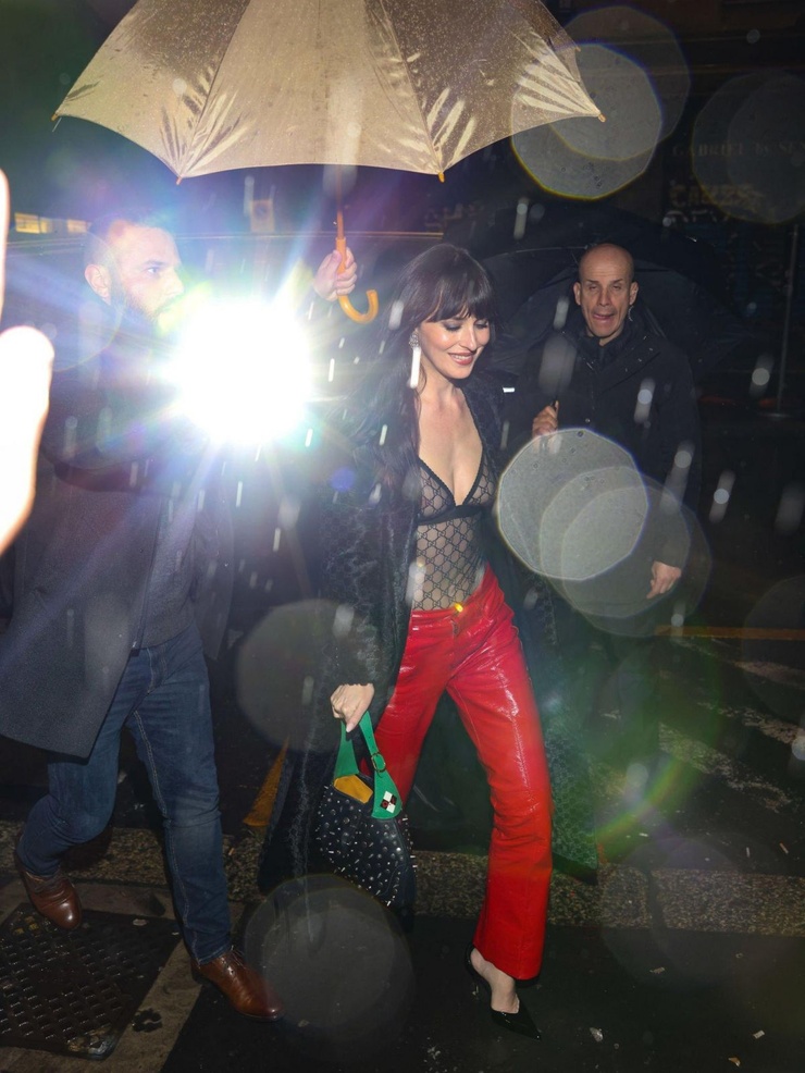 Dakota Johnson Dakota Johnson