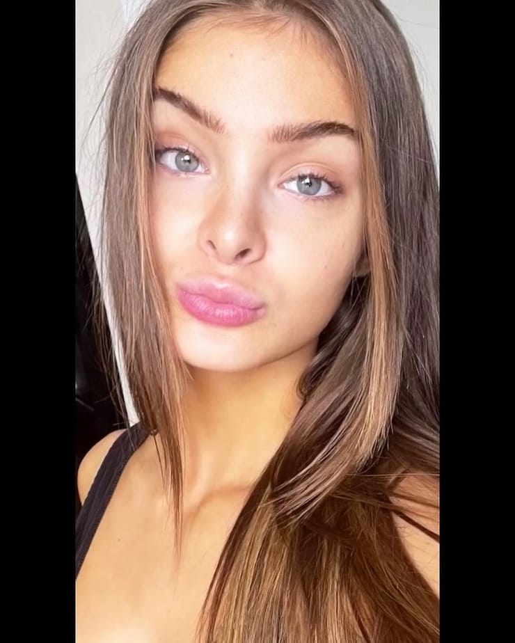 Brighton Sharbino
