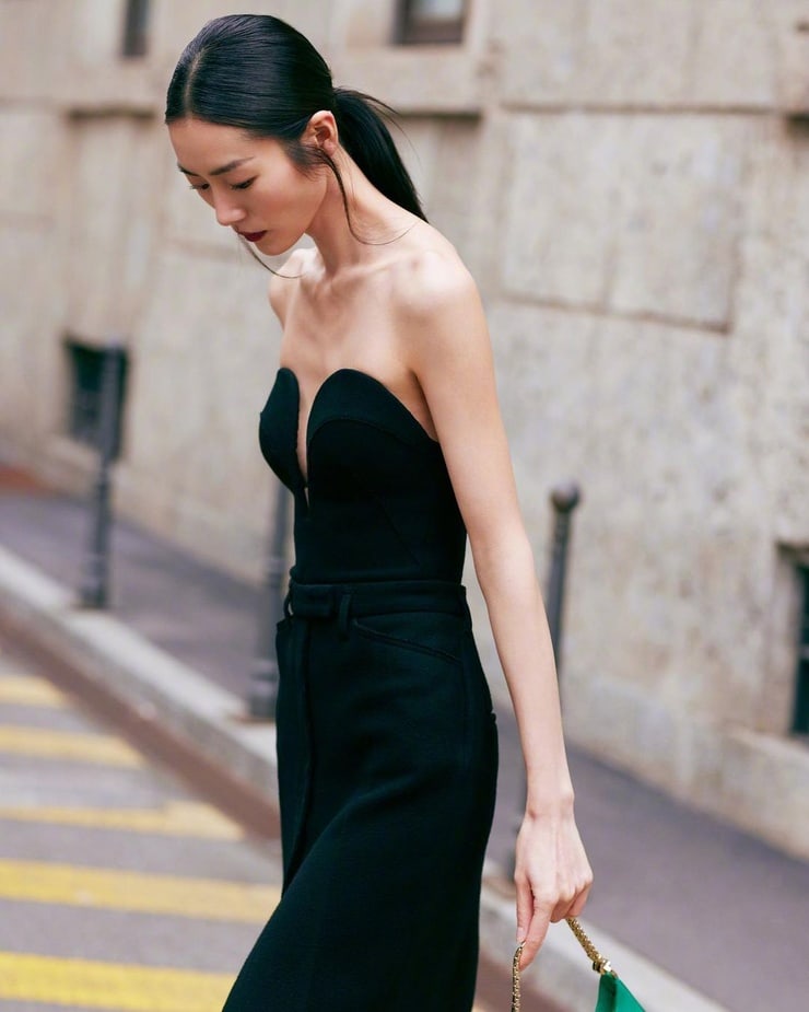 Liu Wen